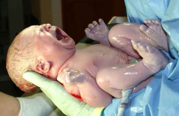 human_infant_newborn_baby.jpg
